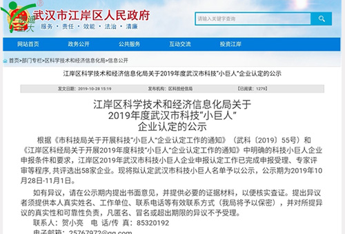 祝贺我司获得江岸区科学技术和经济信息化局2019年度武汉市科技“小巨人”企业认定