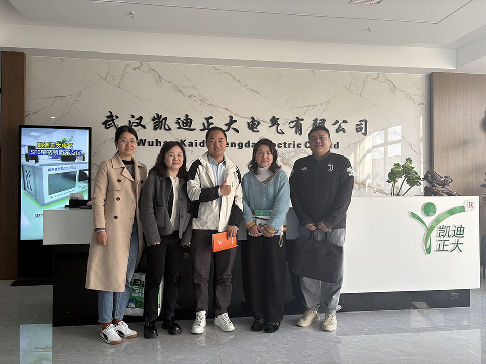 <strong>热烈欢迎东西湖区商务局领导和金银湖街道工作人员走访我司</strong>