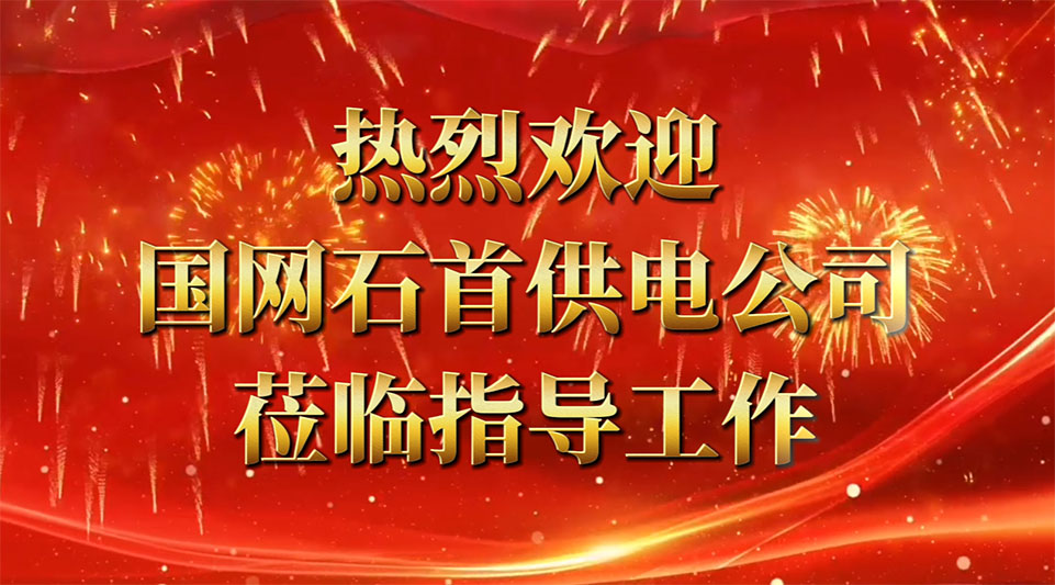热烈欢迎国网石首供电公司领导莅临我司考察指导